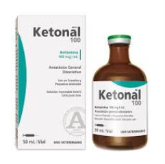 KETAMIN A JEHO RIZIKA